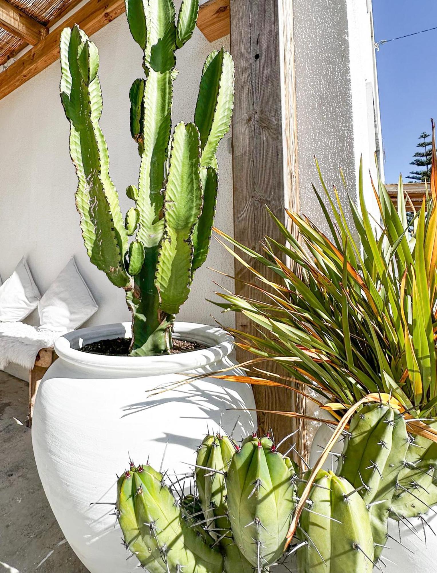Ocean House - Ribeira d'ilhas Ericeira Exterior foto